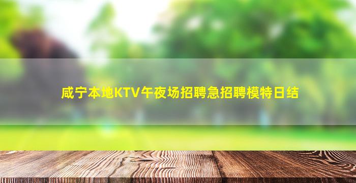 咸宁本地KTV午夜场招聘急招聘模特日结